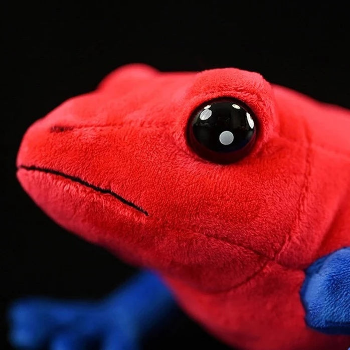 Realistic Frog Plushies - Central American Species