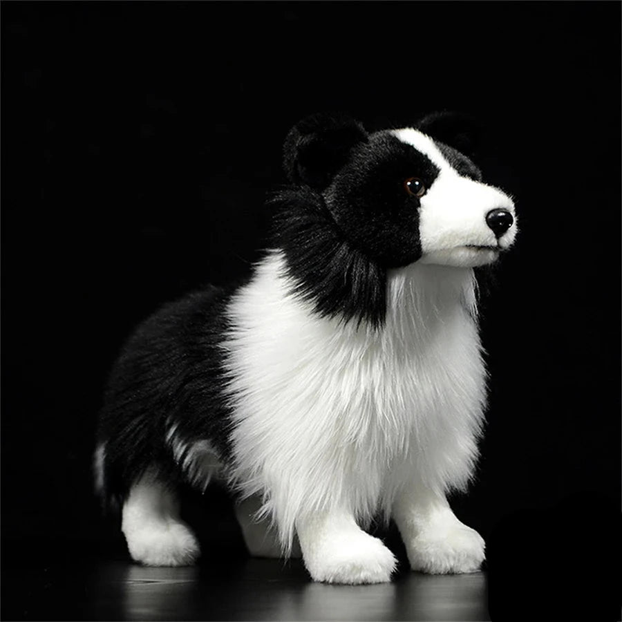 Realistic Border Collie Plushies