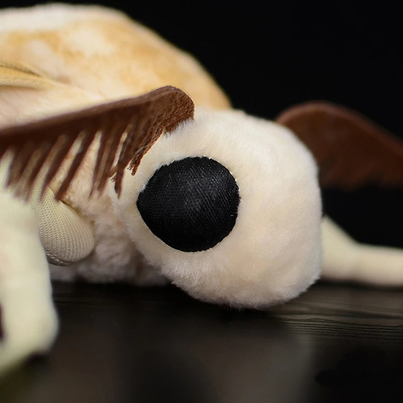 Realistic Insect Plushies