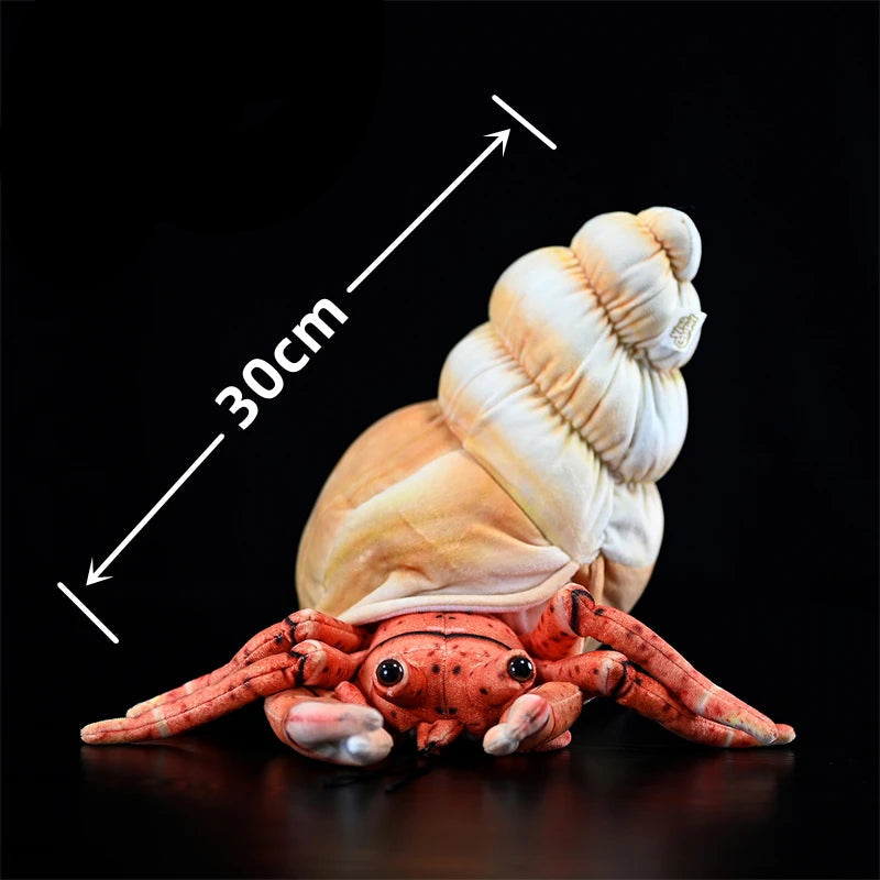 Realistic Hermit crab Plushie