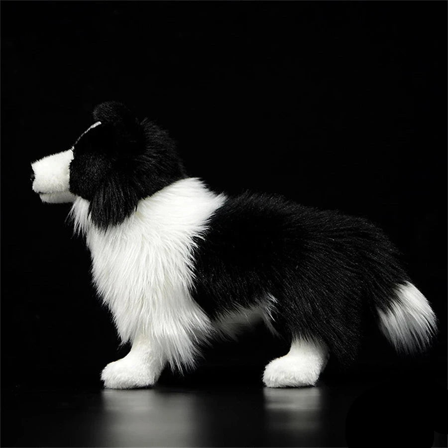 Realistic Border Collie Plushies