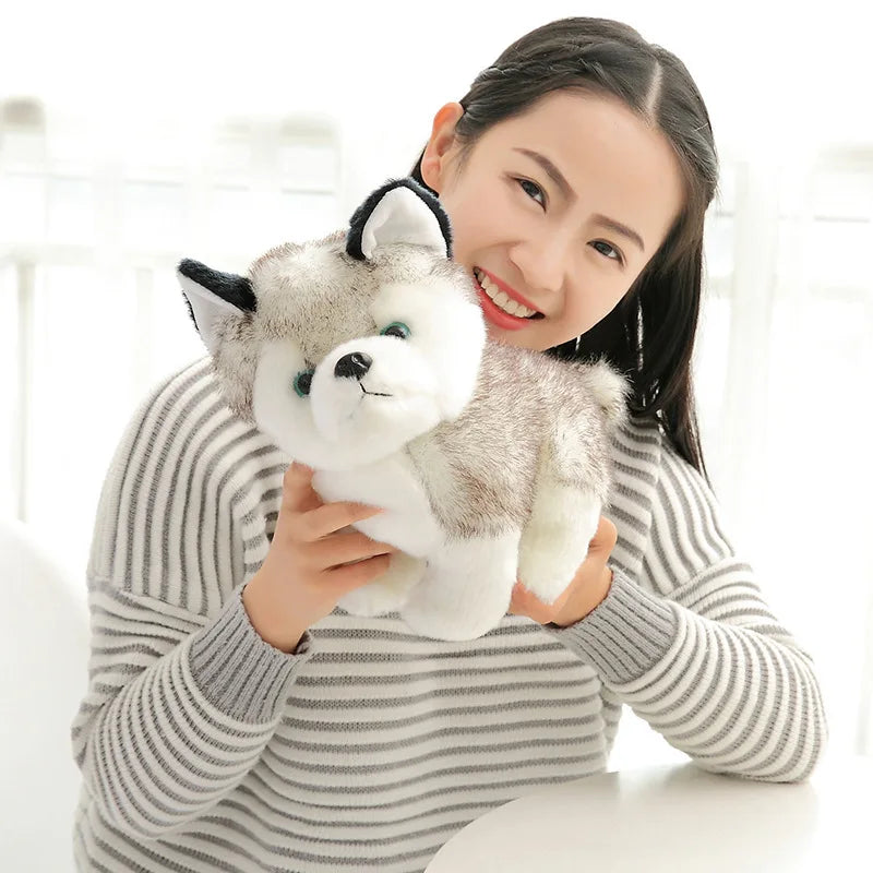 Curious Husky Puppy Plushie