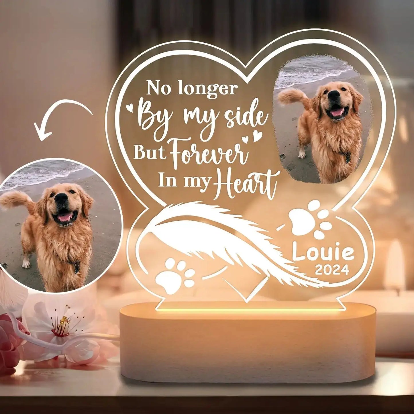 Custom Pet Memorial Night Light