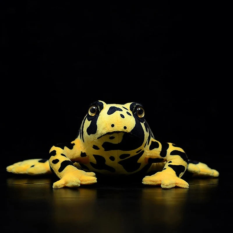 Realistic Frog Plushies - Central American Species