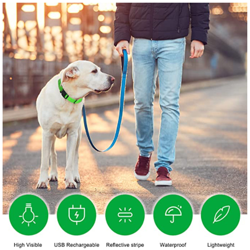 Anti-loss Dog LED Flashing Collar - Style's Bug