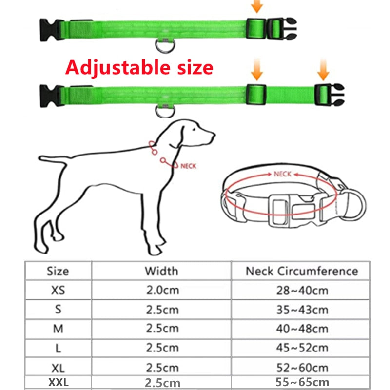 Anti-loss Dog LED Flashing Collar - Style's Bug