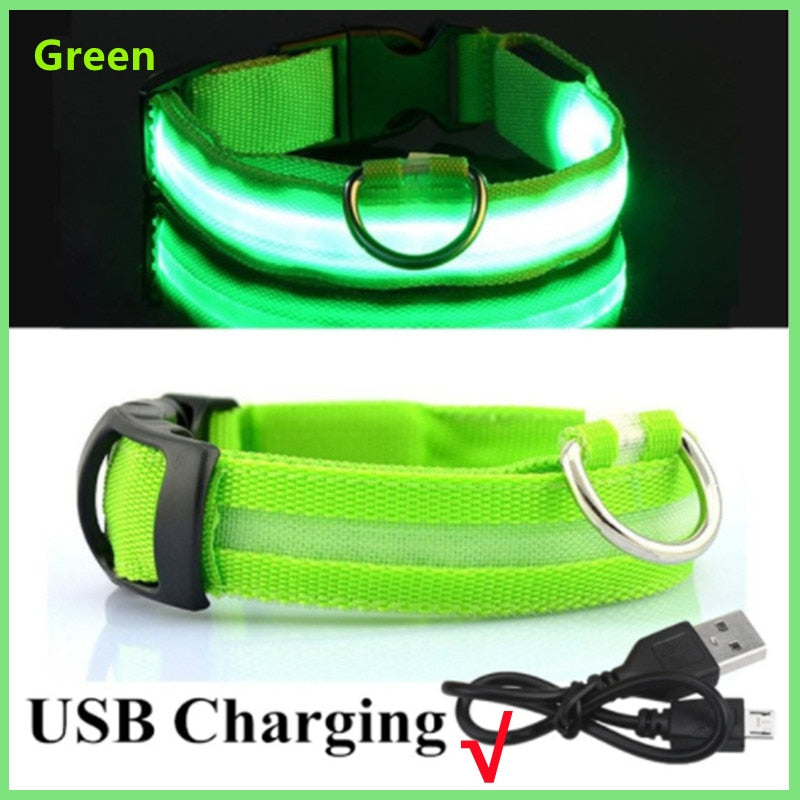 Anti-loss Dog LED Flashing Collar - Style's Bug Green + USB Charging / XS (28-38 cm)