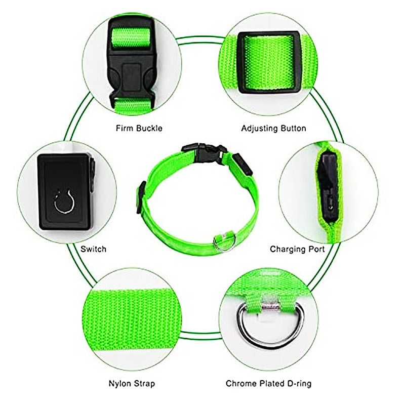 Anti-loss Dog LED Flashing Collar - Style's Bug