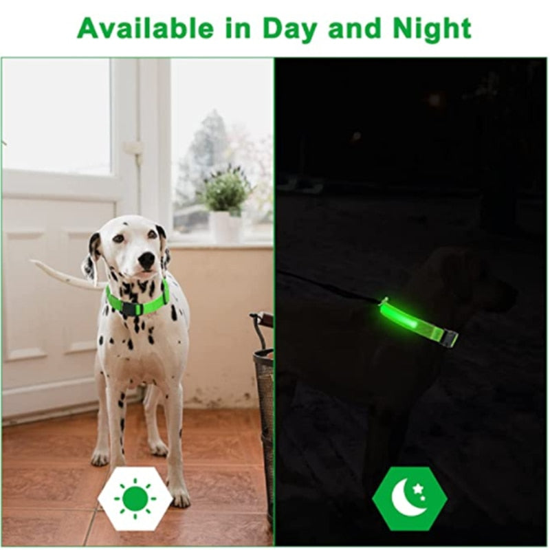 Anti-loss Dog LED Flashing Collar - Style's Bug