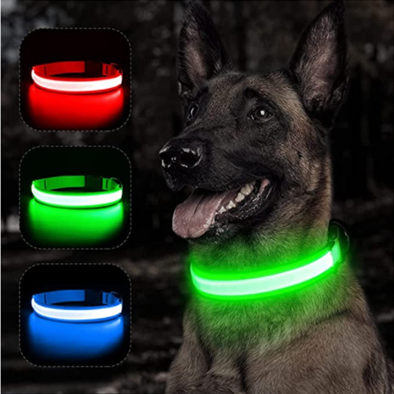 Anti-loss Dog LED Flashing Collar - Style's Bug
