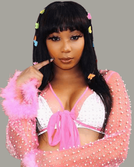 Stylish Butterflies™ Hair Clip set - Style's Bug