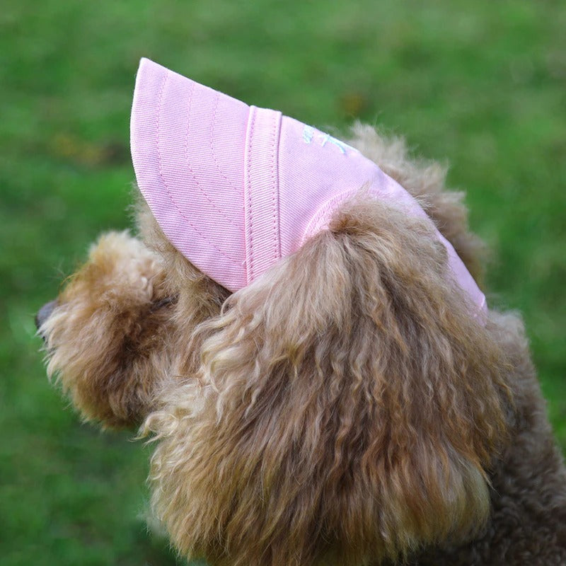Summer Pet Caps by Style's Bug - Style's Bug
