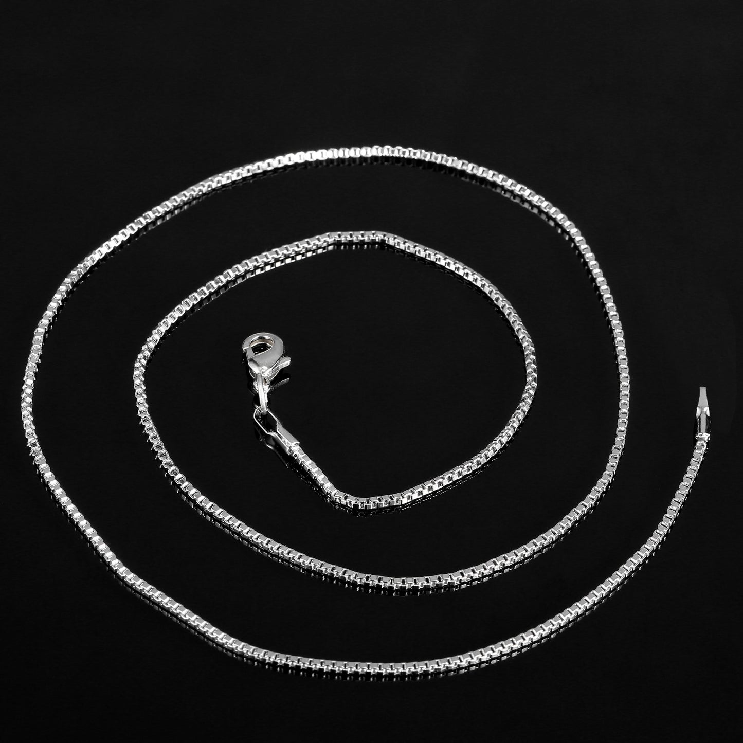 Faithful Dachshund - Style's Bug