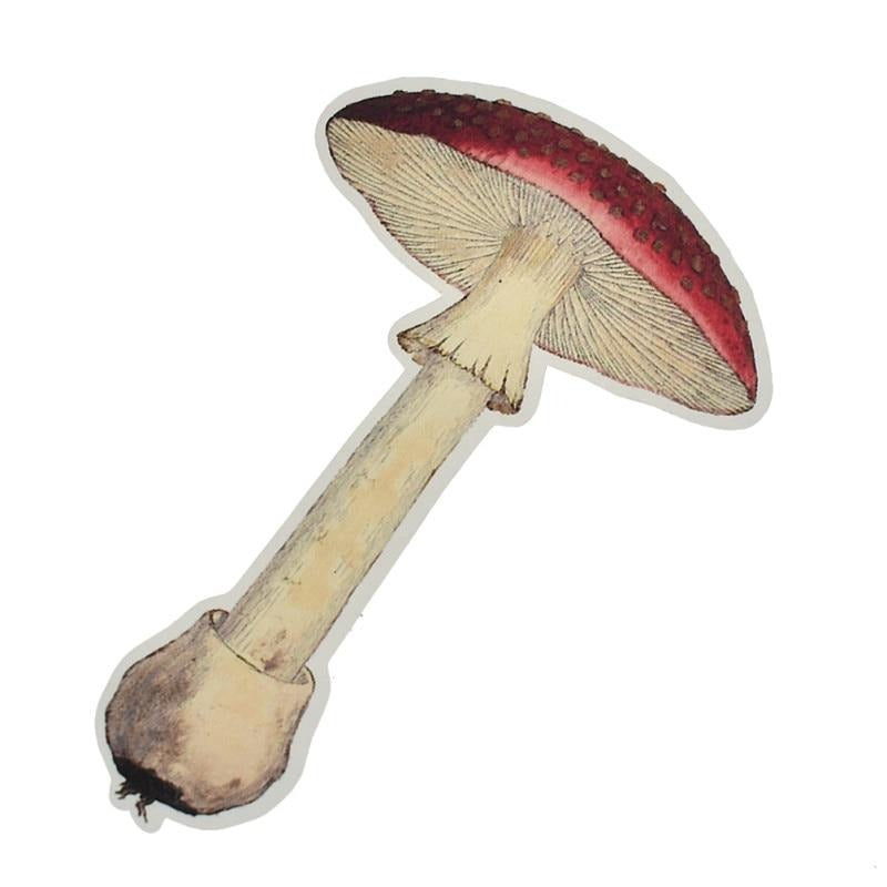 Realistic mushroom Sticker pack - Style's Bug