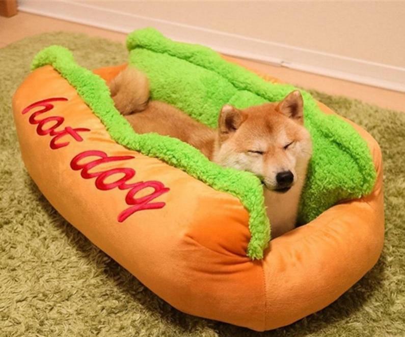 Hot Dog - Style's Bug