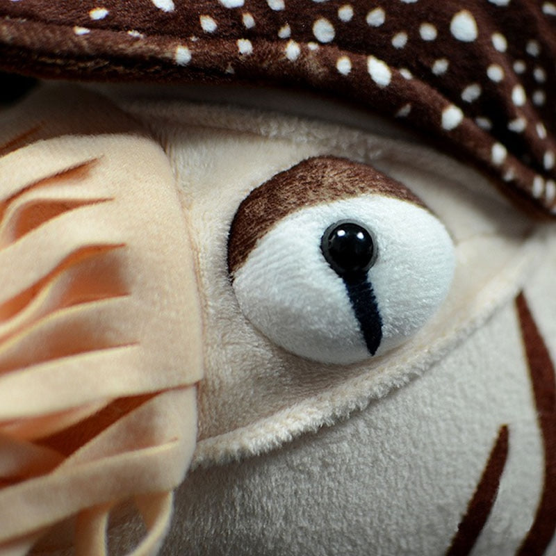 Realistic Nautilus plushie by Style's Bug - Style's Bug