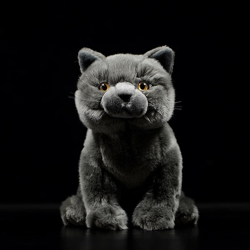 Realistic British Shorthair plushie by Style's Bug - Style's Bug