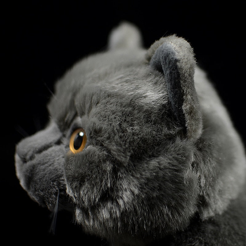 Realistic British Shorthair plushie by Style's Bug - Style's Bug
