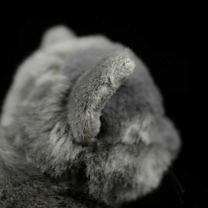 Realistic British Shorthair plushie by Style's Bug - Style's Bug