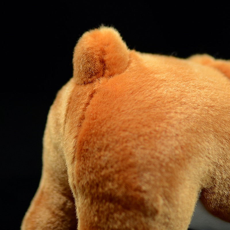 Realistic Bulldog plushie by Style's Bug - Style's Bug