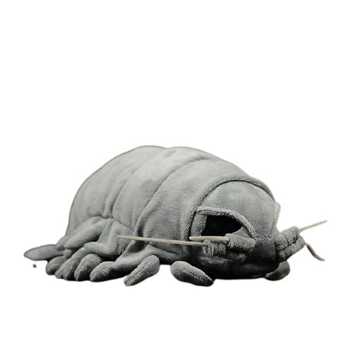 Realistic Isopod plushie by Style's Bug - Style's Bug