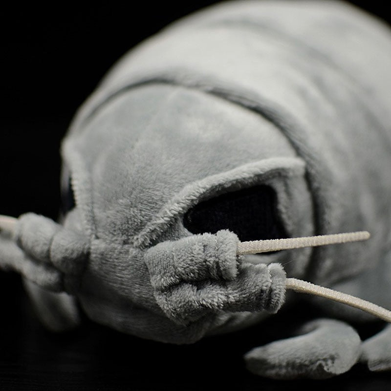 Realistic Isopod plushie by Style's Bug - Style's Bug