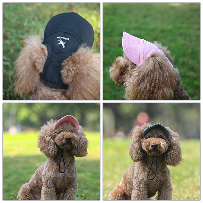 Summer Pet Caps by Style's Bug - Style's Bug