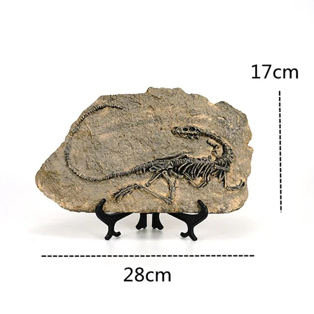 Realistic Dinosaur Fossil Ornaments