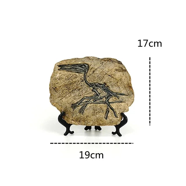 Realistic Dinosaur Fossil Ornaments