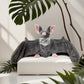 "Hug me hooman" Bat Plushie