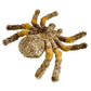 Realistic Tarantula Plushie