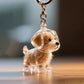 Pet fur Storage Keychain by Style's Bug