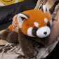 "Raccoon & Red Panda Family" Plushies