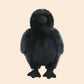 Cute Crow Plushie Family