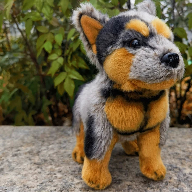 Australian Cattle Dog Plushie