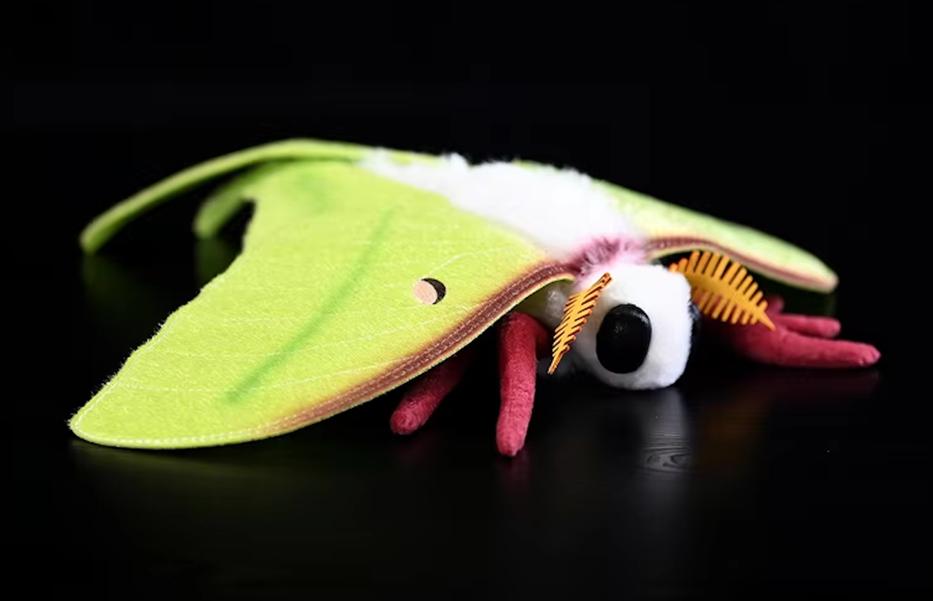 Realistic Insect Plushies