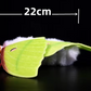 Realistic Insect Plushies