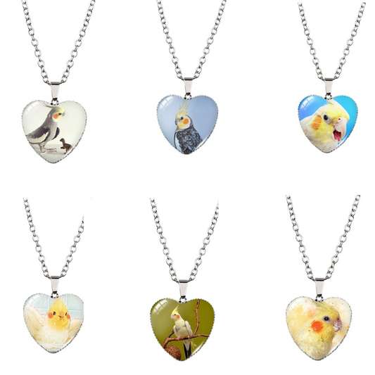 Cockatiel necklace packs - Style's Bug All six of them (40% OFF) -POPULAR