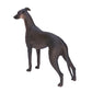 "Cario the Whippet" Realistic ornaments - Style's Bug