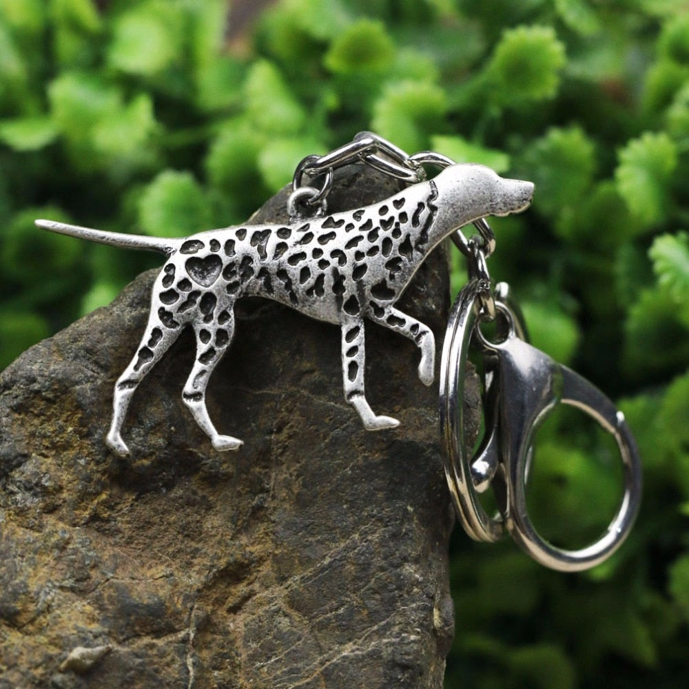 German Short Haired Pointer as it is, personalised, gift wrapped, 3 options German Short Haired Pointer as it is, personalised, gift wrapped, 3 options