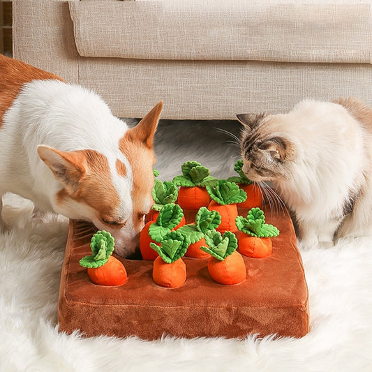 "Dog vs Veggies" Funny chew toy puzzle set - Style's Bug