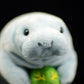 Realistic Manatee plushie by Style's Bug - Style's Bug