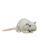 Rat plushies by Style's Bug - Style's Bug