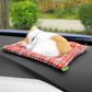 Cute Sleeping Kitten - Style's Bug Yellow White