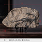 The Fossils by Style's Bug - Style's Bug B