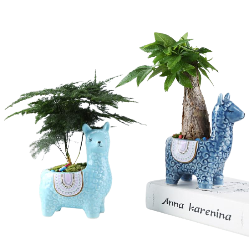 Alpaca Flower Pots by Style's Bug - Style's Bug