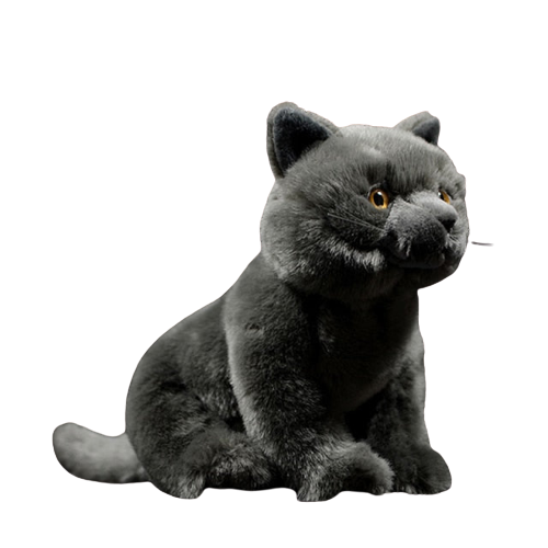 Realistic British Shorthair plushie by Style's Bug - Style's Bug