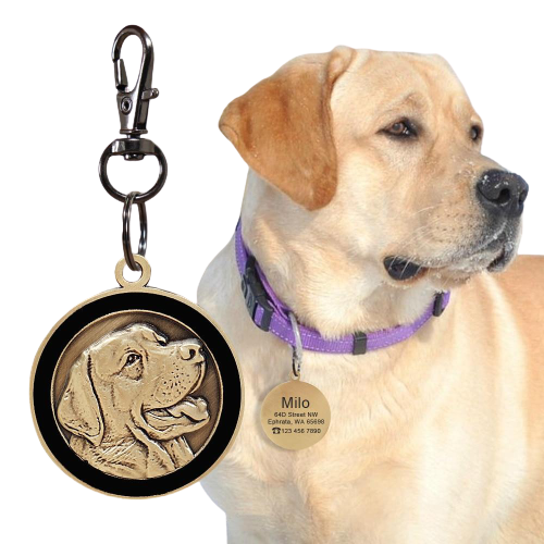 Personalized Dog ID Tags by Style's Bug - Style's Bug