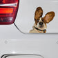 Funny Waterproof Basset Hound Stickers - Style's Bug